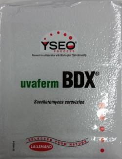 BDX - Bordeaux Red, Yeast (500 Gram Dry Brick)